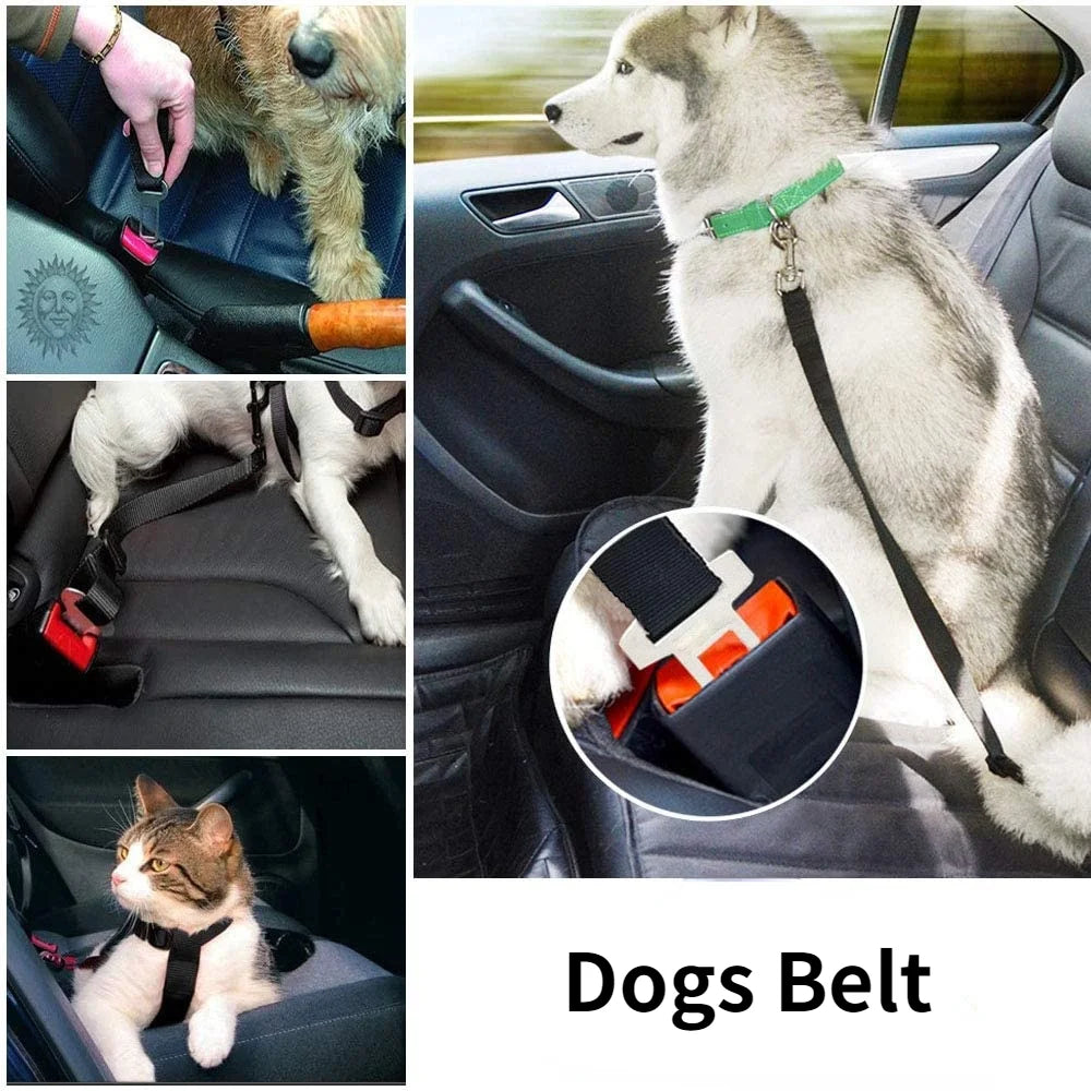 Dog Car Seat Belt & Safety Harness