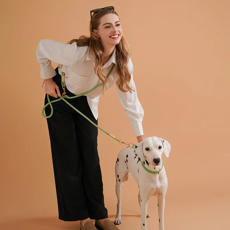 10-in-1 Hands-Free Dog Leash