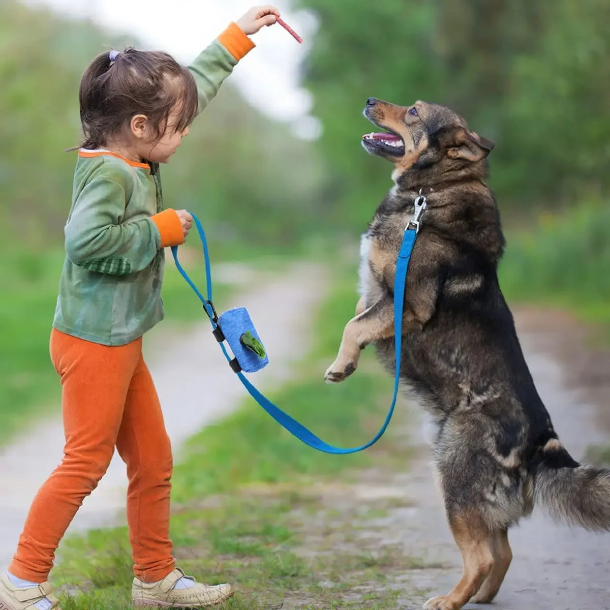 Dog Poop Bag Dispenser with Dual Pockets & Leash Attachment
